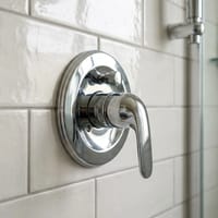 Diverter Valve