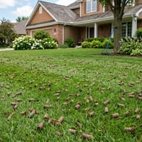 Aeration