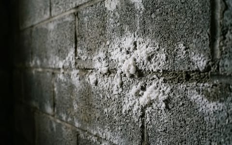 Close-up of white chalky efflorescence powder on a concrete basement wall