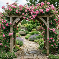 Arbor