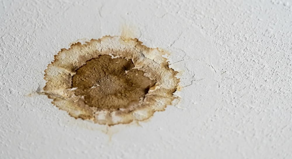 A spreading brown stain on the ceiling is a classic sign of an active roof leak.
