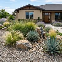 Xeriscaping