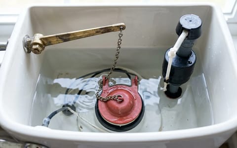 Inside view of a toilet tank showing the flapper, chain, and flush lever