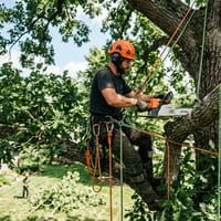 Arborist