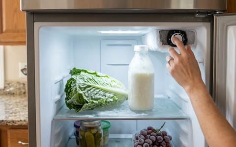 Open refrigerator showing frozen lettuce and milk inside the fresh food compartment